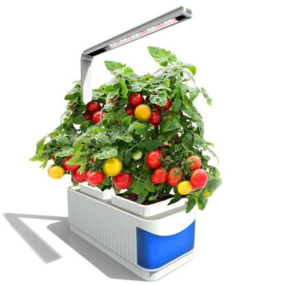 Mini Jardin Potager D’intérieur Hydroponique avec Lampe Led